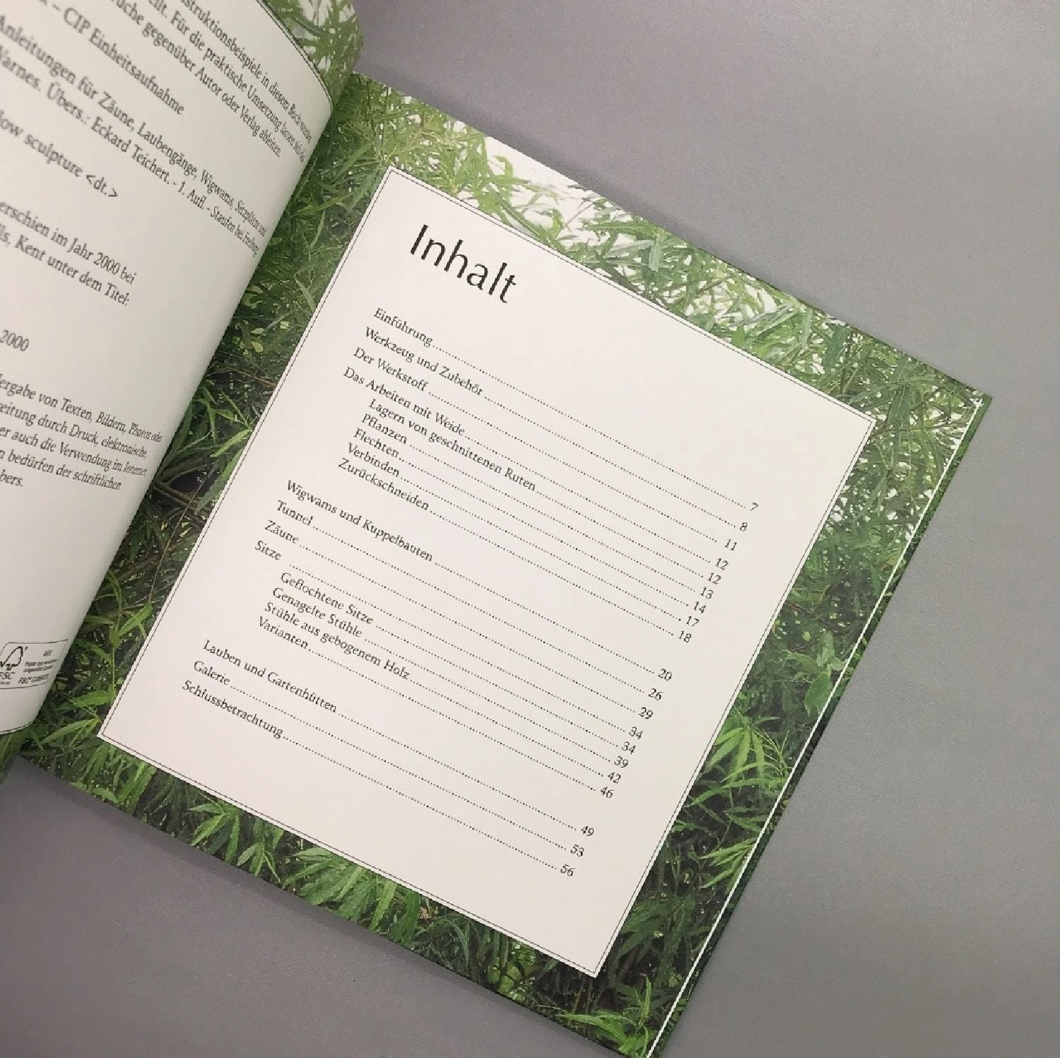 Mit Weiden Bauen (Warnes, Jom) 5 Mit Weiden Bauen (Warnes, Jom) – Bild 3