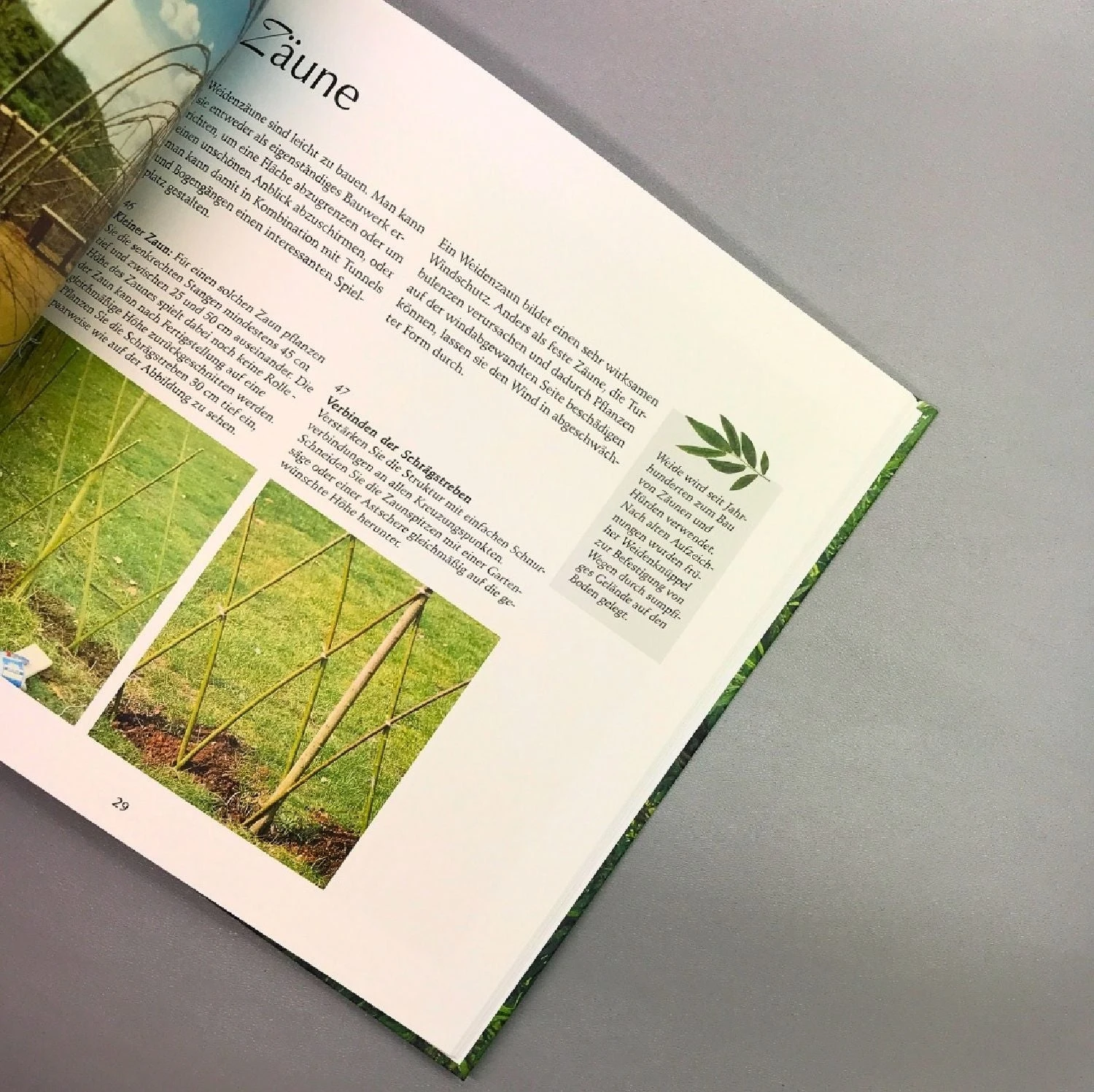 Mit Weiden Bauen (Warnes, Jom) 7 Mit Weiden Bauen (Warnes, Jom) – Bild 5