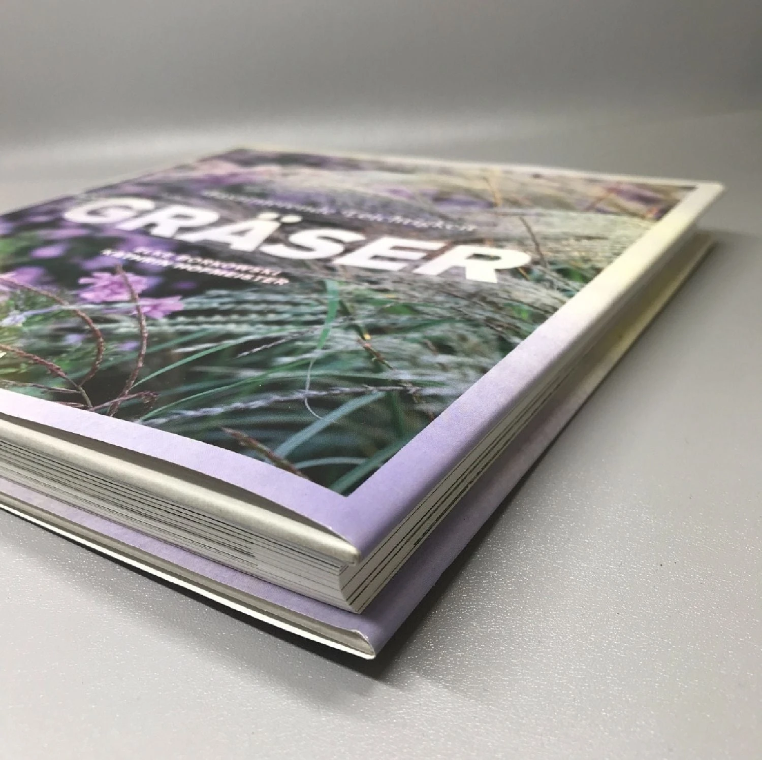 Gräser - Faszinierende Leichtigkeit (Borkowski, Hofmeister) 3 Gräser - Faszinierende Leichtigkeit (Borkowski, Hofmeister)