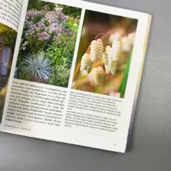 Gräser - Faszinierende Leichtigkeit (Borkowski, Hofmeister) 8 Gräser - Faszinierende Leichtigkeit (Borkowski, Hofmeister) -Gartenpflanzen Verkaufsladen 13757 Graeser 20 20Faszinierende 20Leichtigkeit Borkowski 20Hofmeister 4
