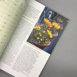 Mein Garten Summt! (Simone Kern) -Gartenpflanzen Verkaufsladen 19935 Mein 20Garten 20summt Simone 20Kern 5