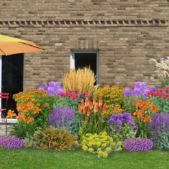 Leuchtfeuer (Farbpower Für Den Garten)