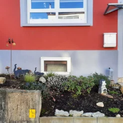 Leuchtfeuer (Farbpower Für Den Garten) 23 Leuchtfeuer (Farbpower Für Den Garten) -Gartenpflanzen Verkaufsladen 2001000 Leuchtfeuer Farbpower 20fuer 20den 20Garten 4