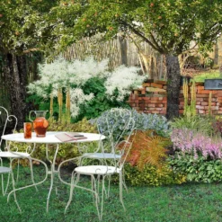 Robuste Alleskönner (Problemlösung Für Den Trockenen Schatten)