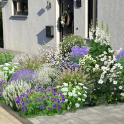 Blaue Welle (Das Klassisch-elegante Beet In Blau Und Weiß)