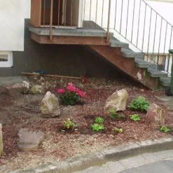 Edler Empfang (Idee Für Den Vorgarten) -Gartenpflanzen Verkaufsladen 2001050 Edler 20Empfang Idee 20fuer 20den 20Vorgarten 2