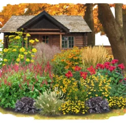 Indian Summer (Weite Welt-Kollektion)