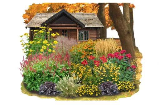 Indian Summer (Weite Welt-Kollektion) 7 Indian Summer (Weite Welt-Kollektion) -Gartenpflanzen Verkaufsladen 2001457 Indian 20Summer Weite 20Welt Kollektion 1