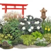 Fernöstlicher Traum (Ein Hauch Von Japan Im Eigenen Garten) 1 Fernöstlicher Traum (Ein Hauch Von Japan Im Eigenen Garten) -Gartenpflanzen Verkaufsladen 2001632 Fernoestlicher 20Traum Ein 20Hauch 20von 20Japan 20im 20eigenen 20Garten 1