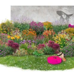 Summer Of Love (Belebende Flower Power Für Ihren Garten!) 32 Summer Of Love (Belebende Flower Power Für Ihren Garten!) -Gartenpflanzen Verkaufsladen 2002767 Summer 20of 20Love Belebende 20Flower 20Power 20fuer 20Ihren 20Garten 11