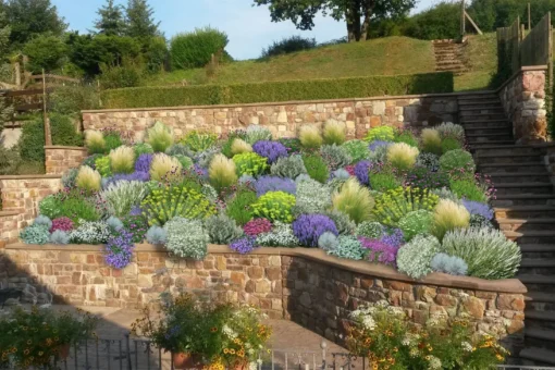 Das Hangbeet (Clevere Bepflanzung Für Schräge Flächen) 1 Das Hangbeet (Clevere Bepflanzung Für Schräge Flächen) -Gartenpflanzen Verkaufsladen 2003344 Das 20Hangbeet Clevere 20Bepflanzung 20fuer 20schraege 20Flaechen 1