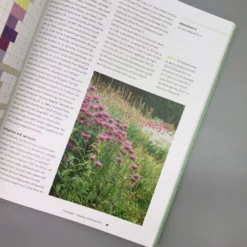 Einfach Schöne Beete (Christine Breier) 9 Einfach Schöne Beete (Christine Breier) -Gartenpflanzen Verkaufsladen 20593 Einfach 20schoene 20Beete Christine 20Breier 4