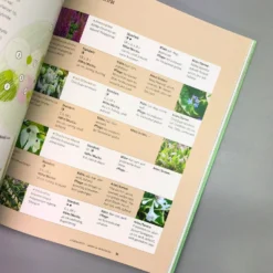 Einfach Schöne Beete (Christine Breier) 10 Einfach Schöne Beete (Christine Breier) -Gartenpflanzen Verkaufsladen 20593 Einfach 20schoene 20Beete Christine 20Breier 5