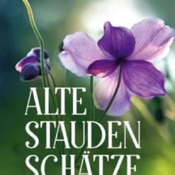 Alte Stauden Schätze (Dieter Gaißmayer) -Gartenpflanzen Verkaufsladen 22635 Alte 20Stauden 20Schaetze Dieter 20Gaissmayer 1