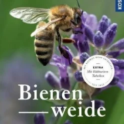 Bienenweide (Günter Pritsch)