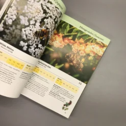 Bienenweide (Günter Pritsch) -Gartenpflanzen Verkaufsladen 24710 Bienenweide Guenter 20Pritsch 5