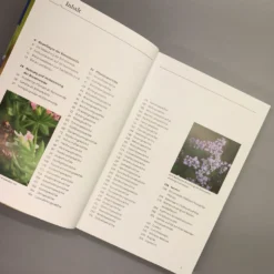 Bienenweide (Günter Pritsch) -Gartenpflanzen Verkaufsladen 24710 Bienenweide Guenter 20Pritsch 6