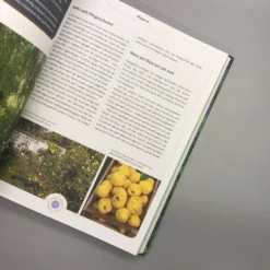 Viel Garten - Wenig Zeit (Brunhilde Bross) 14 Viel Garten - Wenig Zeit (Brunhilde Bross) -Gartenpflanzen Verkaufsladen 26029 Viel 20Garten 20 20Wenig 20Zeit Brunhilde 20Bross 7