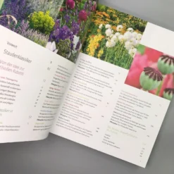 Ganzjährig Attraktive Beete (Ute Bauer) 9 Ganzjährig Attraktive Beete (Ute Bauer) -Gartenpflanzen Verkaufsladen 26258 Ganzjaehrig 20attraktive 20Beete Ute 20Bauer 2