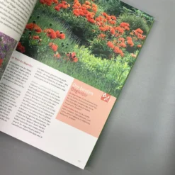 Ganzjährig Attraktive Beete (Ute Bauer) 11 Ganzjährig Attraktive Beete (Ute Bauer) -Gartenpflanzen Verkaufsladen 26258 Ganzjaehrig 20attraktive 20Beete Ute 20Bauer 4