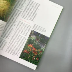 Ganzjährig Attraktive Beete (Ute Bauer) 12 Ganzjährig Attraktive Beete (Ute Bauer) -Gartenpflanzen Verkaufsladen 26258 Ganzjaehrig 20attraktive 20Beete Ute 20Bauer 5