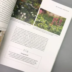 Mein Summendes Paradies (Cynthia Nagel) 11 Mein Summendes Paradies (Cynthia Nagel) -Gartenpflanzen Verkaufsladen 26260 Mein 20summendes 20Paradies Cynthia 20Nagel 5