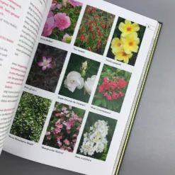 Hier Wächst Nichts (Jörg Pfennigschmidt & Jonas Reif) -Gartenpflanzen Verkaufsladen 26695 Hier 20waechst 20nichts Joerg 20Pfennigschmidt 20 20Jonas 20Reif 5