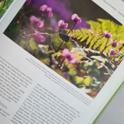 Blütenreich (Katrin Lugerbauer) -Gartenpflanzen Verkaufsladen 27346 Bluetenreich Katrin 20Lugerbauer 3