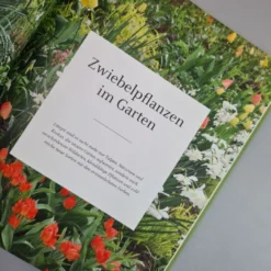 Blütenreich (Katrin Lugerbauer) -Gartenpflanzen Verkaufsladen 27346 Bluetenreich Katrin 20Lugerbauer 4