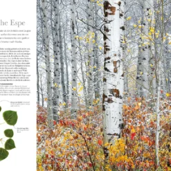 Flora (Wunderwelt Der Pflanzen) -Gartenpflanzen Verkaufsladen 27612 Flora Wunderwelt 20der 20Pflanzen 3