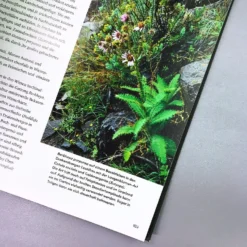 Wild Garden (Sven Nürnberger) 7 Wild Garden (Sven Nürnberger) -Gartenpflanzen Verkaufsladen 27783 Wild 20Garden Sven 20Nuernberger 3