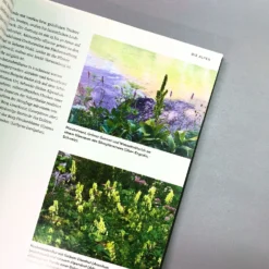 Wild Garden (Sven Nürnberger) 8 Wild Garden (Sven Nürnberger) -Gartenpflanzen Verkaufsladen 27783 Wild 20Garden Sven 20Nuernberger 4