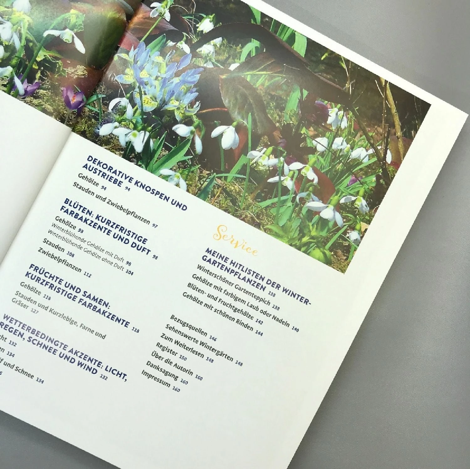 Lebendige Gärten Im Winter (Iris Frey) 5 Lebendige Gärten Im Winter (Iris Frey) – Bild 3