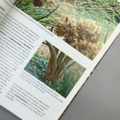 Lebendige Gärten Im Winter (Iris Frey) 11 Lebendige Gärten Im Winter (Iris Frey) -Gartenpflanzen Verkaufsladen 27951 Lebendige 20Gaerten 20im 20Winter Iris 20Frey 5