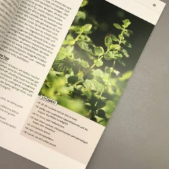 Meise Mag Melisse (Elke Schwarzer) -Gartenpflanzen Verkaufsladen 28446 Meise 20mag 20Melisse Elke 20Schwarzer 6