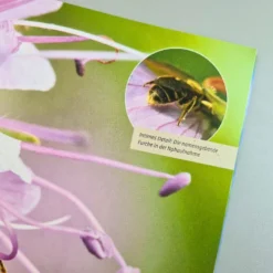 Mein Bienengarten, Erweiterte Auflage (Elke Schwarzer) 10 Mein Bienengarten, Erweiterte Auflage (Elke Schwarzer) -Gartenpflanzen Verkaufsladen 28879 Mein 20Bienengarten 20erweiterte 20Auflage Elke 20Schwarzer 3 04aec3c1 537e 4eae 8d86 382d5cac2126