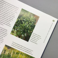 Heimische Wildstauden (Peter Steiger) -Gartenpflanzen Verkaufsladen 28882 Heimische 20Wildstauden Peter 20Steiger 6