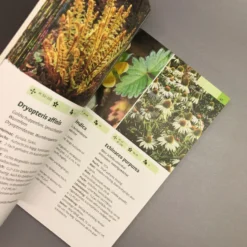 Taschenatlas Stauden (Heissel/Haberer) -Gartenpflanzen Verkaufsladen 28887 Taschenatlas 20Stauden HeisselHaberer 5