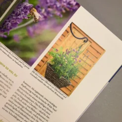 Wilde Kübel (Simone Kern) 8 Wilde Kübel (Simone Kern) -Gartenpflanzen Verkaufsladen 29075 Wilde 20Kuebel Simone 20Kern 4