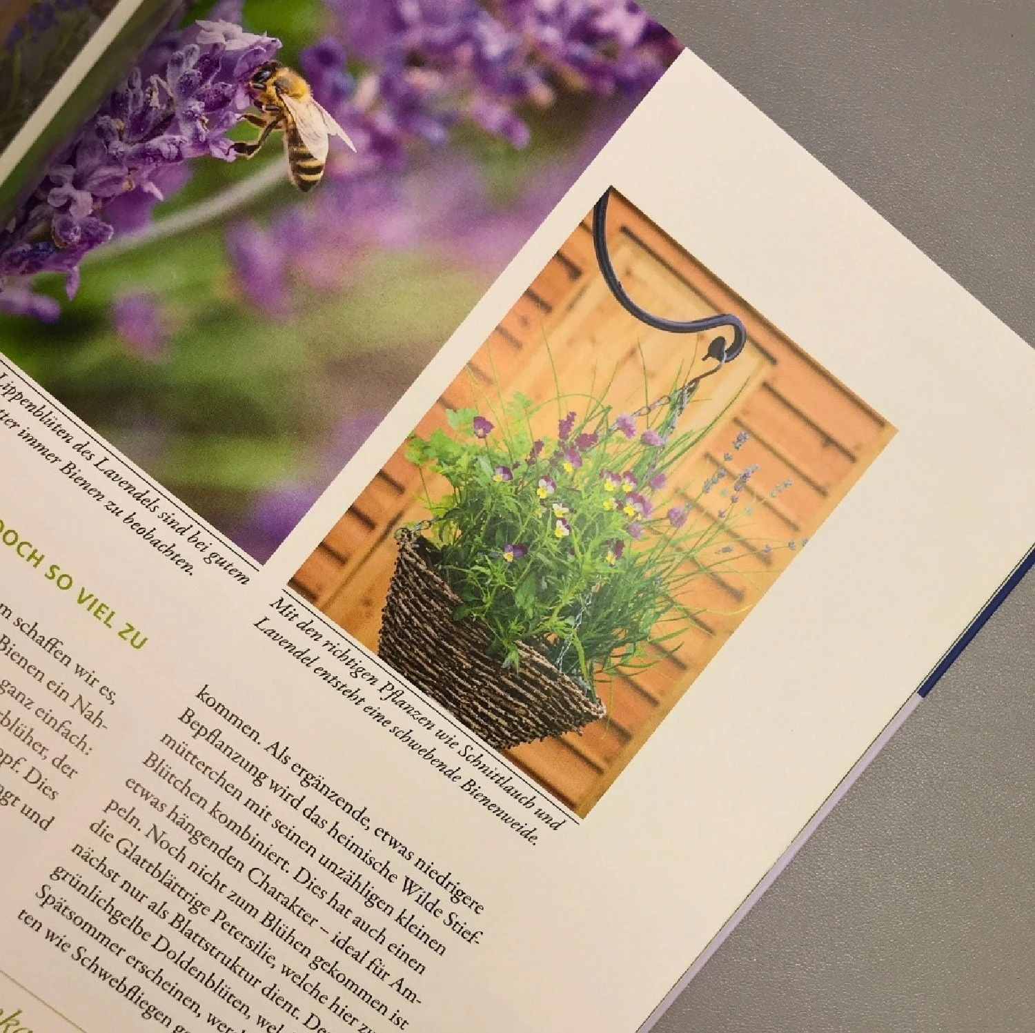 Wilde Kübel (Simone Kern) 5 Wilde Kübel (Simone Kern) – Bild 3