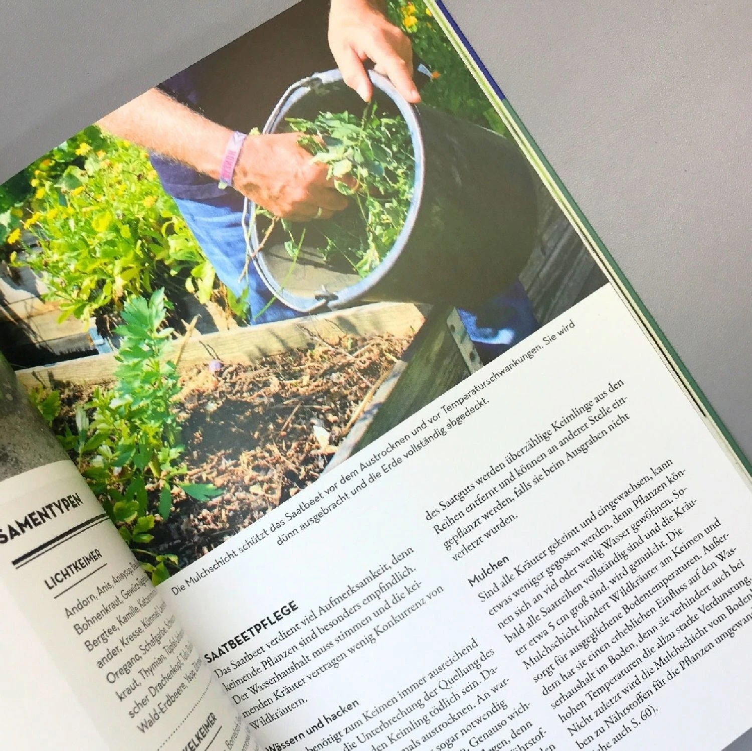 Kräuter Im Hochbeet (Bohne, Burkhard) 7 Kräuter Im Hochbeet (Bohne, Burkhard) – Bild 5