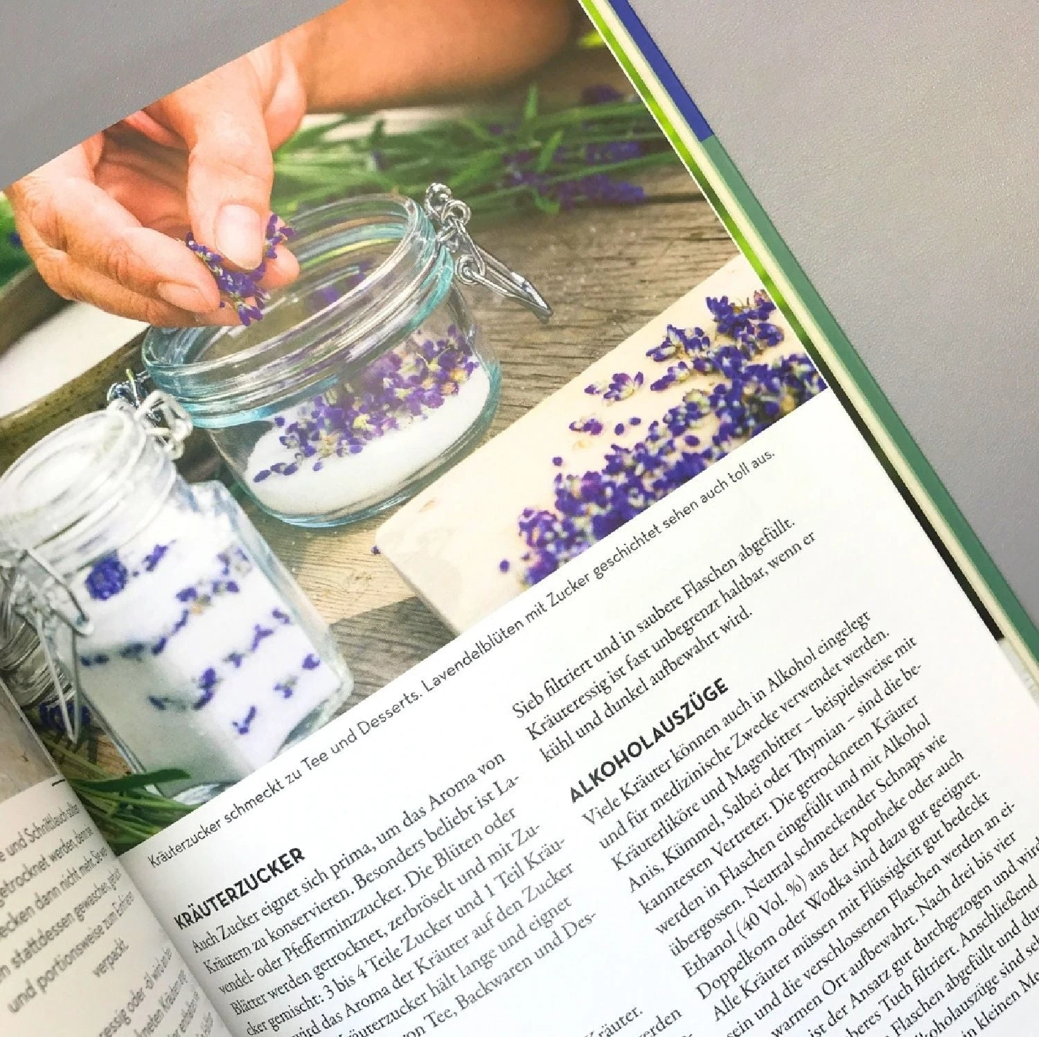 Kräuter Im Hochbeet (Bohne, Burkhard) 8 Kräuter Im Hochbeet (Bohne, Burkhard) – Bild 6