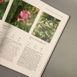 Robuste Schönheiten Für Den Garten (Ina Timm) 12 Robuste Schönheiten Für Den Garten (Ina Timm) -Gartenpflanzen Verkaufsladen 29364 Robuste 20Schoenheiten 20fuer 20den 20Garten Ina 20Timm 6