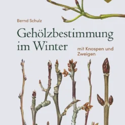 Gehölzbestimmung Im Winter (Bernd Schulz) 11 Gehölzbestimmung Im Winter (Bernd Schulz) -Gartenpflanzen Verkaufsladen 30673 Gehoelzbestimmung 20im 20Winter Bernd 20Schulz 1