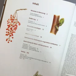 Gehölzbestimmung Im Winter (Bernd Schulz) 9 Gehölzbestimmung Im Winter (Bernd Schulz) -Gartenpflanzen Verkaufsladen 30673 Gehoelzbestimmung 20im 20Winter Bernd 20Schulz 4