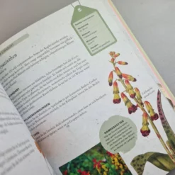 Zwiebelpflanzen Und Knollenblumen (Richard Wilford) -Gartenpflanzen Verkaufsladen 30700 Zwiebelpflanzen 20und 20Knollenblumen Richard 20Wilford 5