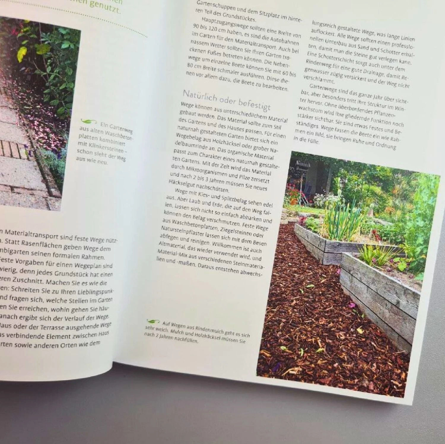 Gemüse Ins Blumenbeet (Heidi Lorey) 7 Gemüse Ins Blumenbeet (Heidi Lorey) – Bild 5