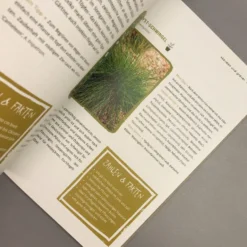 Garten Ohne Gießen (Anette Lepple) -Gartenpflanzen Verkaufsladen 31512 Garten 20ohne 20Giessen Anette 20Lepple 6