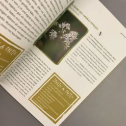 Garten Ohne Gießen (Anette Lepple) -Gartenpflanzen Verkaufsladen 31512 Garten 20ohne 20Giessen Anette 20Lepple 7