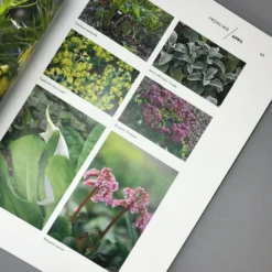 Mein Garten Im Wandel (Peter Janke) 8 Mein Garten Im Wandel (Peter Janke) -Gartenpflanzen Verkaufsladen 31929 Mein 20Garten 20im 20Wandel Peter 20Janke 4